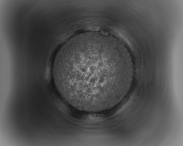 X0000099930641200805301159