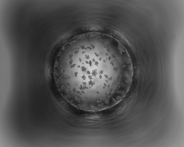 X0000099930643200805301159