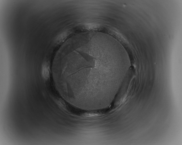 X0000099930644200805301159