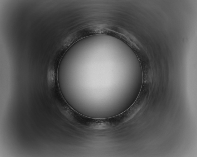 X0000099930646200805301159