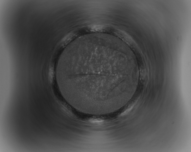 X0000099930648200805301159