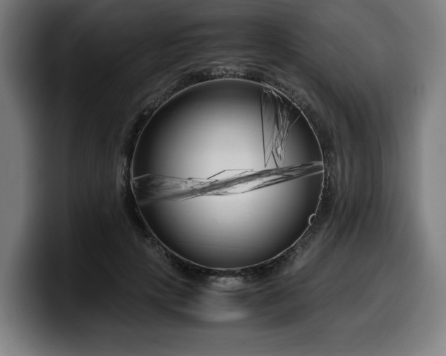 X0000099930649200805301159