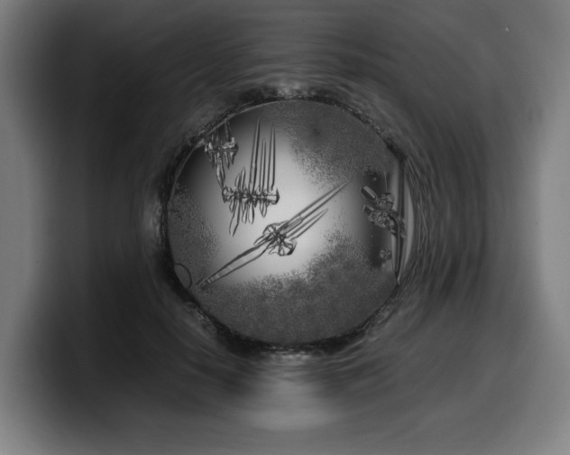 X0000099930650200805301159