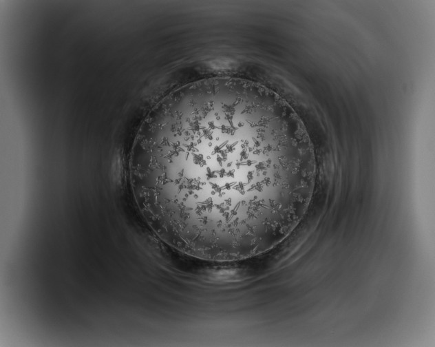 X0000099930651200805301159