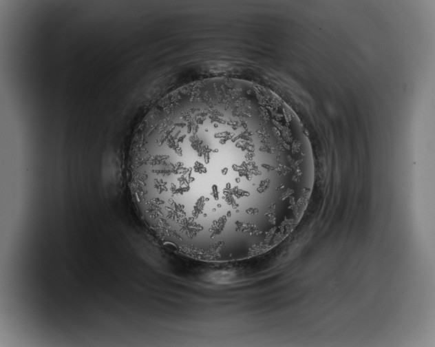 X0000099930653200805301159