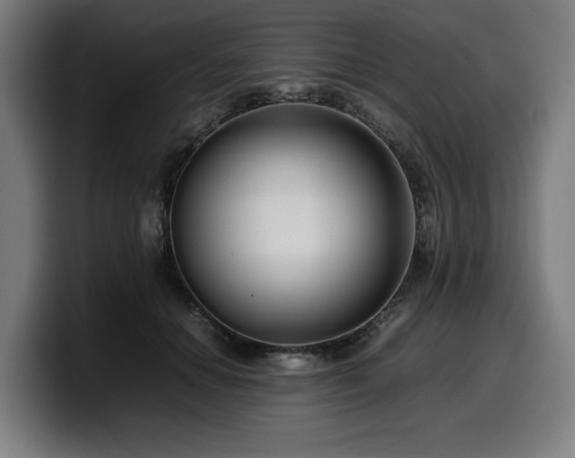 X0000099930654200805301159