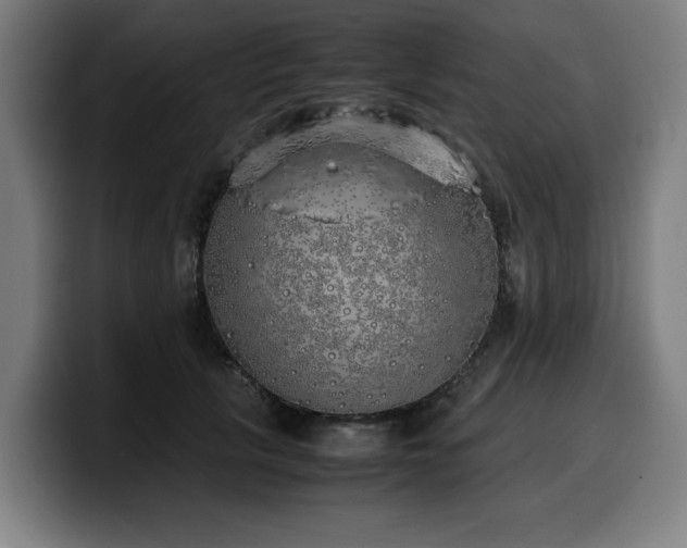 X0000099930657200805301159