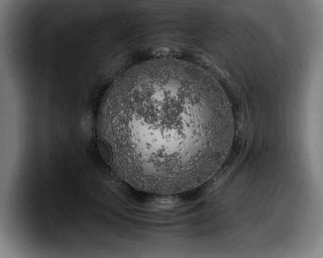 X0000099930659200805301159