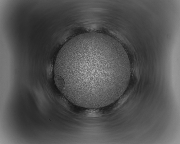 X0000099930660200805301159