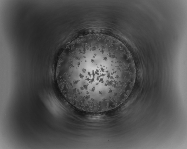 X0000099930661200805301159
