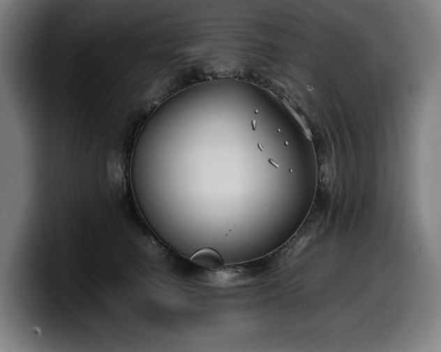 X0000099930662200805301159