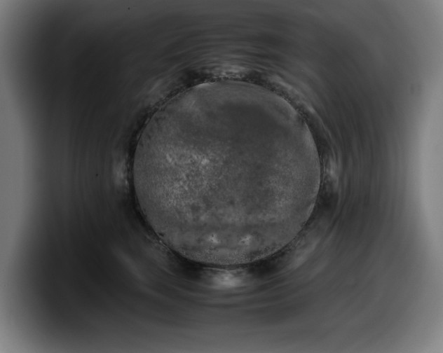 X0000099930663200805301159