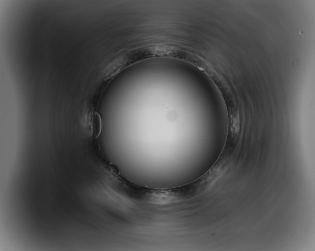 X0000099930666200805301159