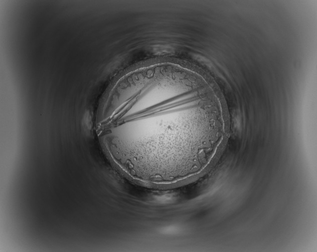 X0000099930667200805301159