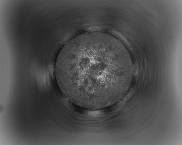 X0000099930669200805301159