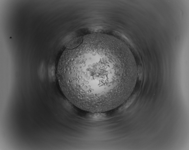 X0000099930670200805301159