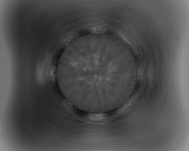 X0000099930671200805301159