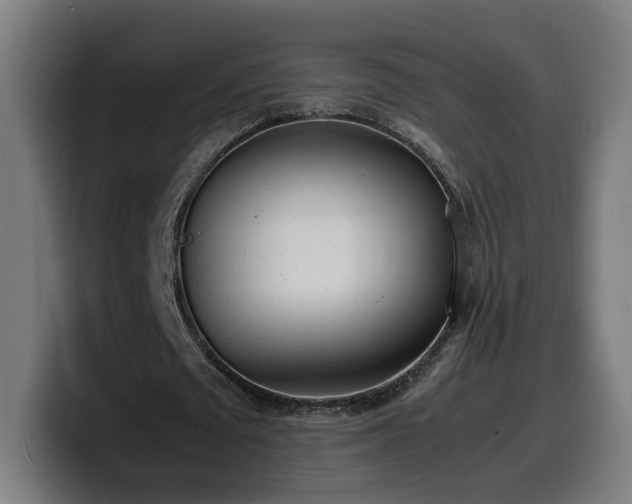 X0000099930673200805301158