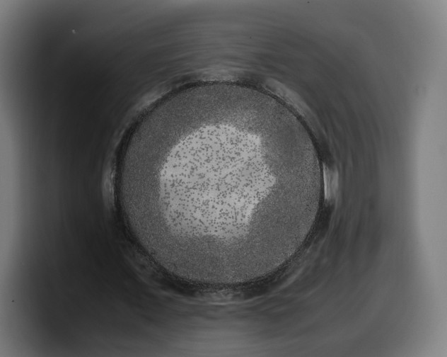 X0000099930675200805301158