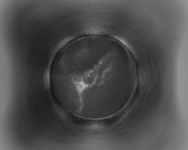 X0000099930678200805301158