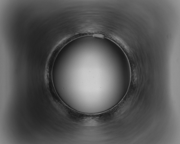 X0000099930680200805301158