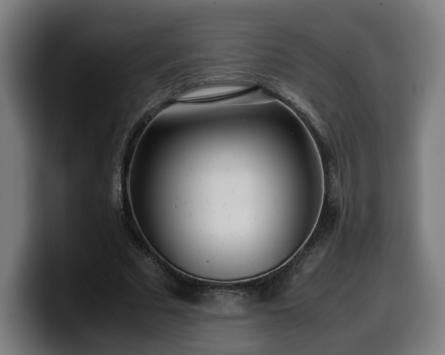 X0000099930681200805301158