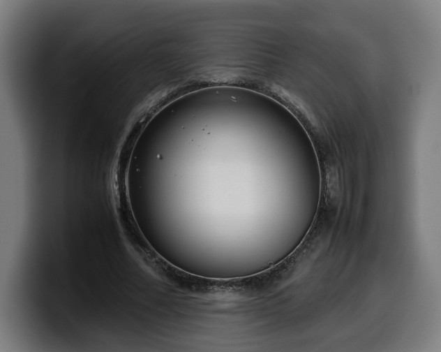 X0000099930682200805301158