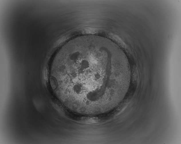 X0000099930683200805301158