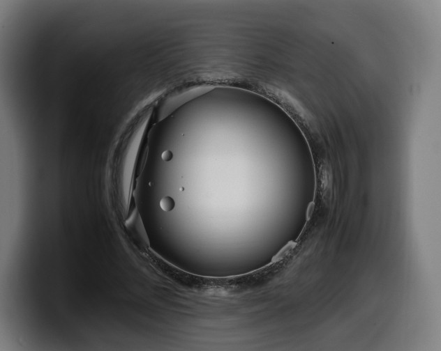 X0000099930684200805301158