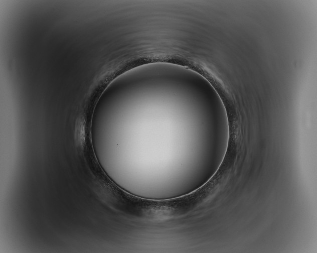 X0000099930685200805301158