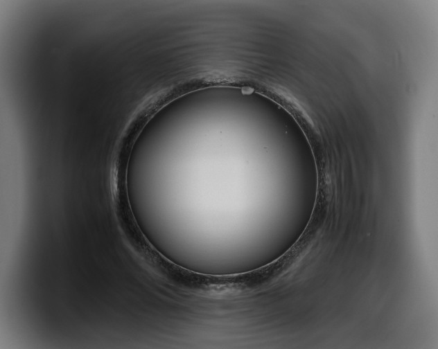 X0000099930686200805301158