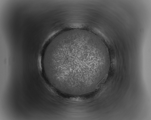 X0000099930688200805301158