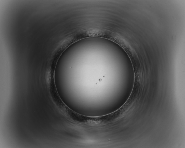 X0000099930690200805301158