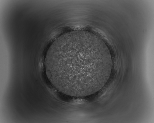 X0000099930695200805301158