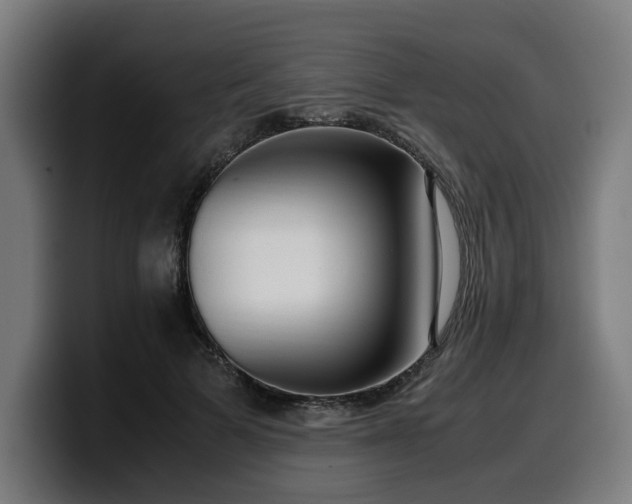 X0000099930697200805301158