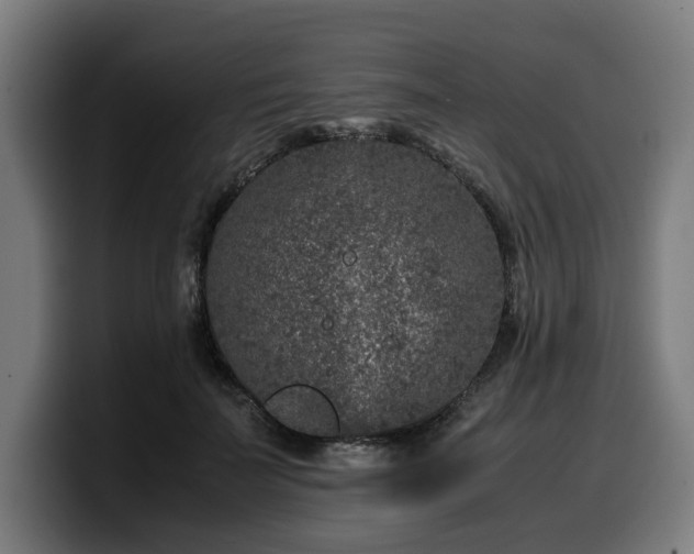 X0000099930699200805301158