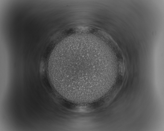 X0000099930701200805301158