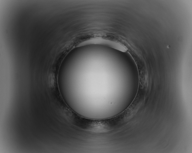 X0000099930704200805301158