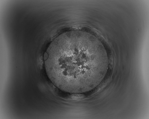 X0000099930707200805301158