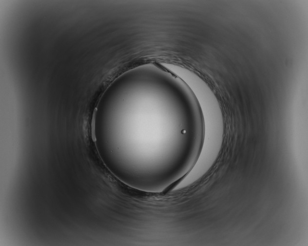 X0000099930708200805301158