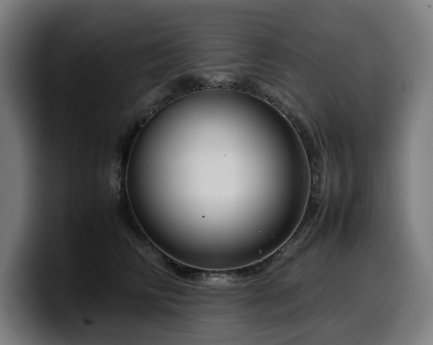 X0000099930710200805301158