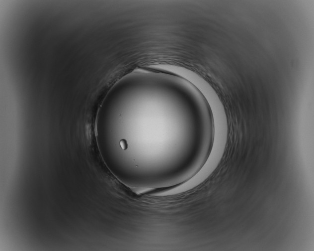 X0000099930716200805301158