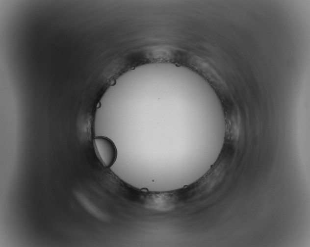 X0000099930717200805301158