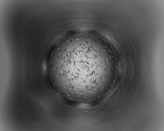 X0000099930718200805301158