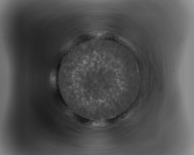 X0000099930720200805301158