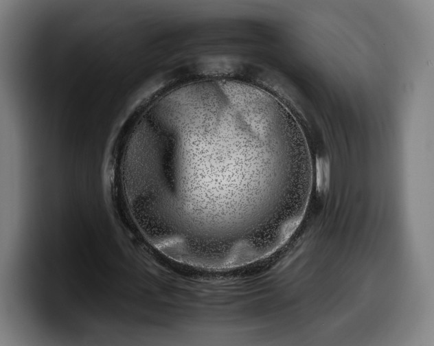 X0000099930723200805301157