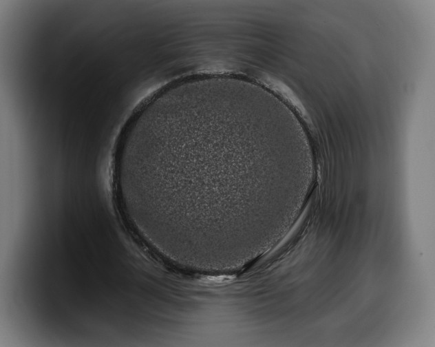 X0000099930724200805301157