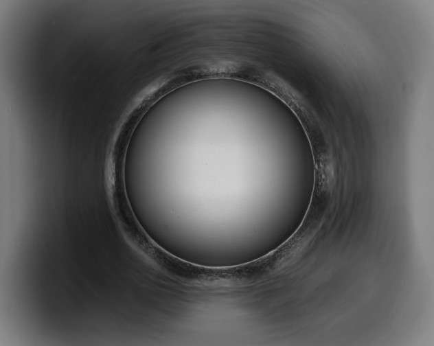 X0000099930726200805301157