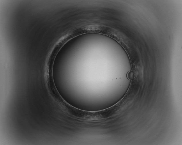 X0000099930727200805301157