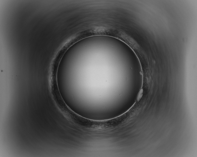 X0000099930728200805301157